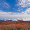 青空と紅葉パラダイス