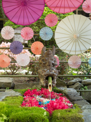 傘の花咲く花手水