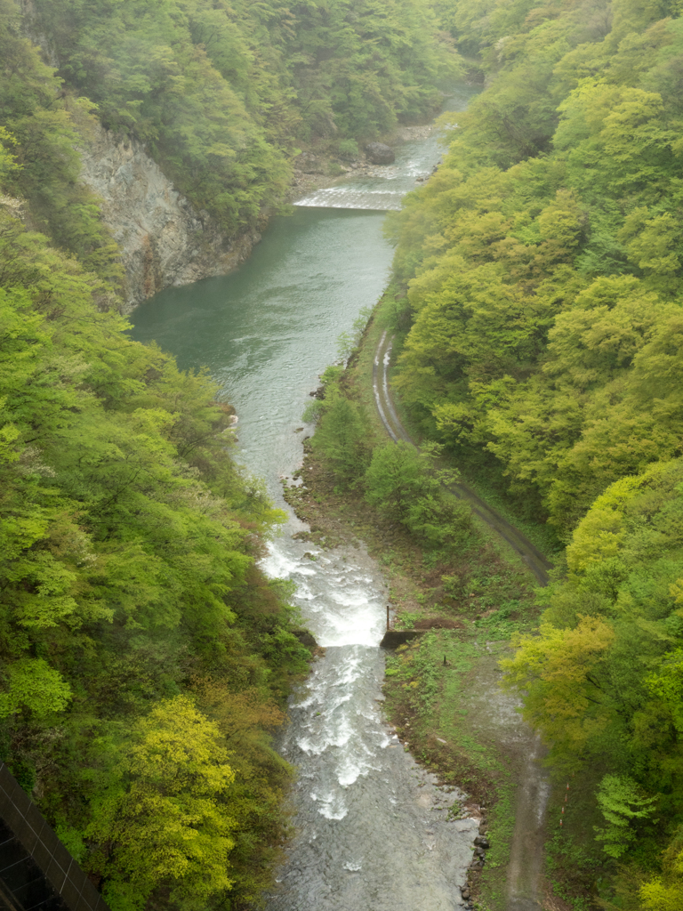 緑を縫って