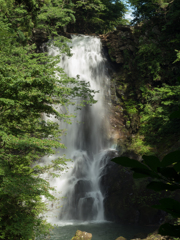 奈曽の白滝