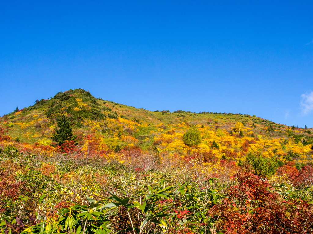 紅葉の山