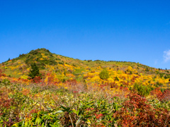 紅葉の山