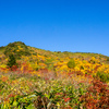 紅葉の山