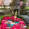 黄土山、黄金水の花手水