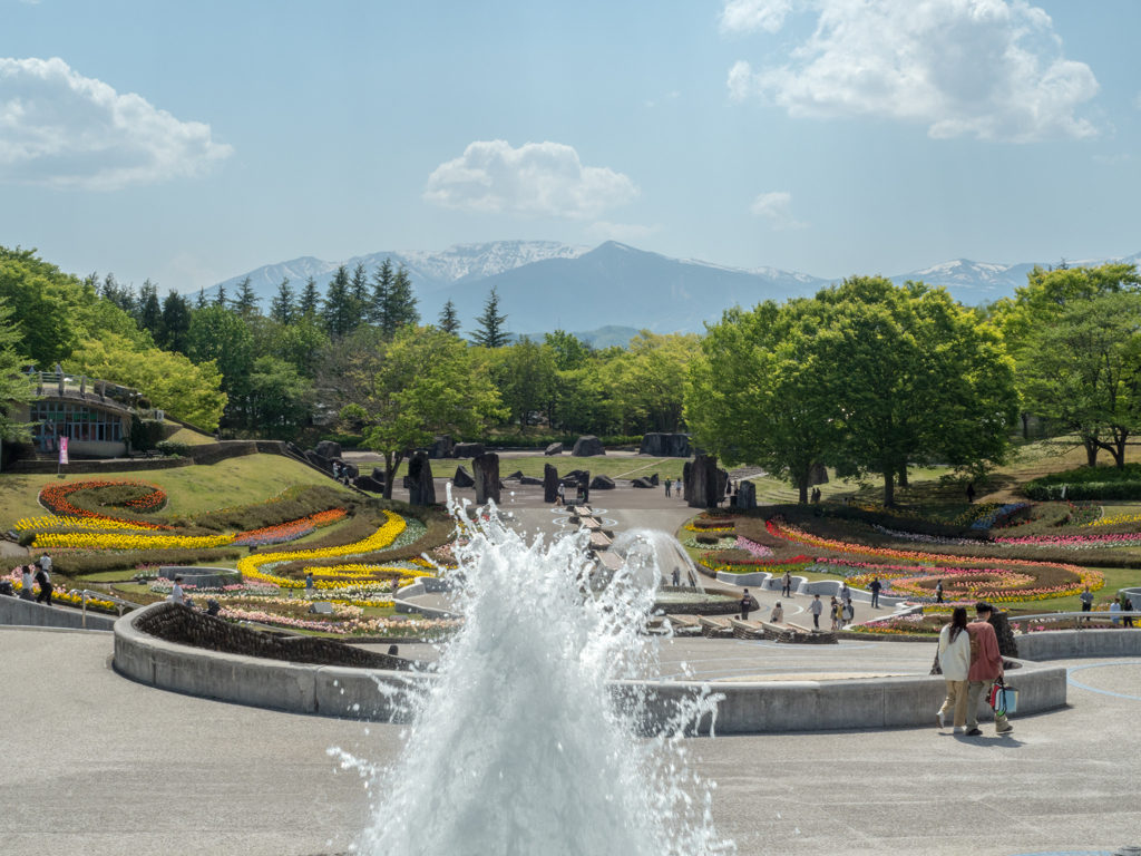 噴水の上がる公園