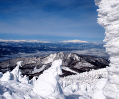 海老の尻尾と月山