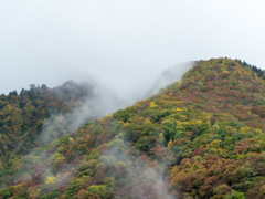 山の息吹