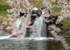 春はルンルン