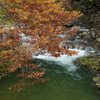 紅葉と流れ