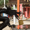 龍の盃