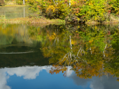 紅葉と波紋 紅葉と波紋