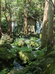 胴腹滝