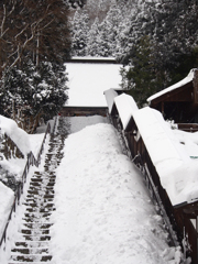 雪の登山口