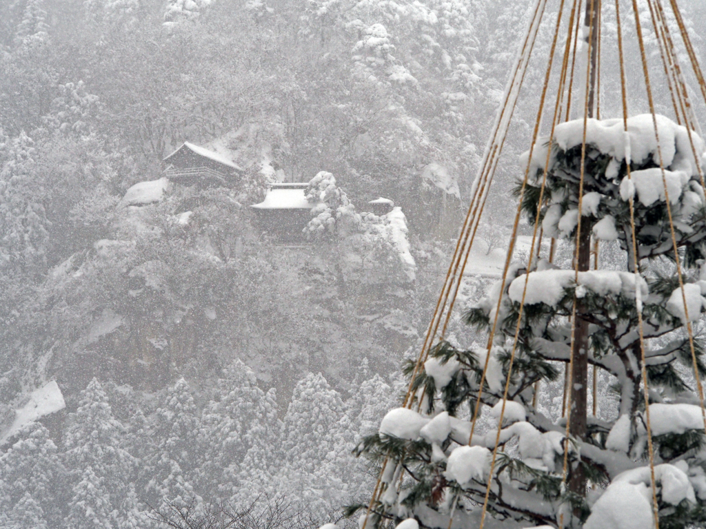 雪吊りと山寺立石寺
