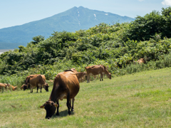 鳥海山の下で