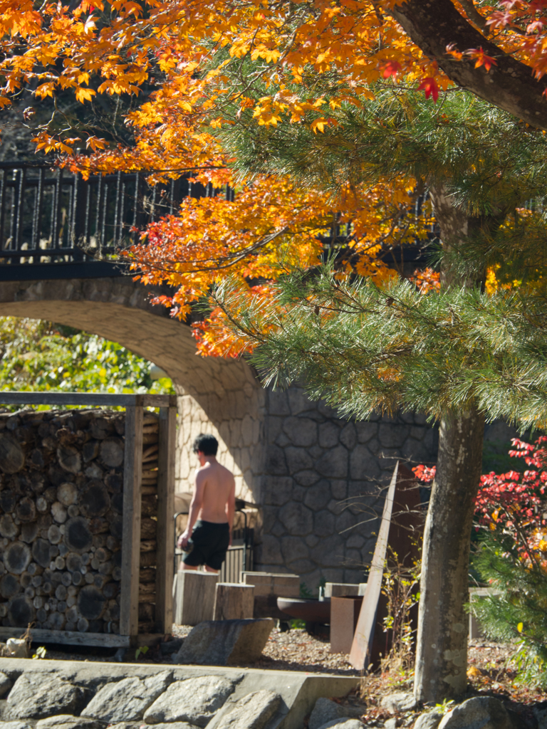 紅葉の向こうに