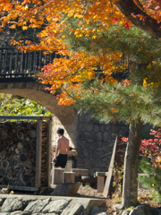 紅葉の向こうに