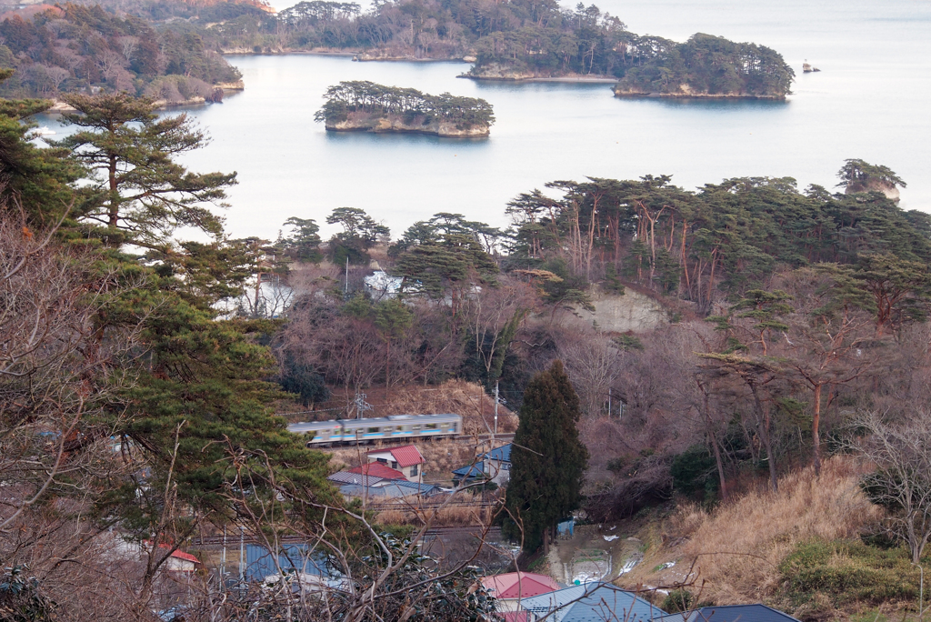 松島を走る