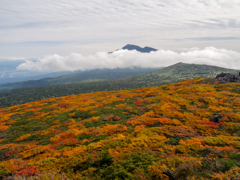 紅葉の絨毯と岩手山