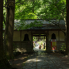 山門と大杉木立