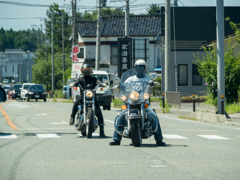 光る目がいっぱい