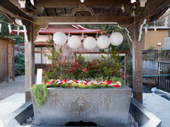初詣の花手水
