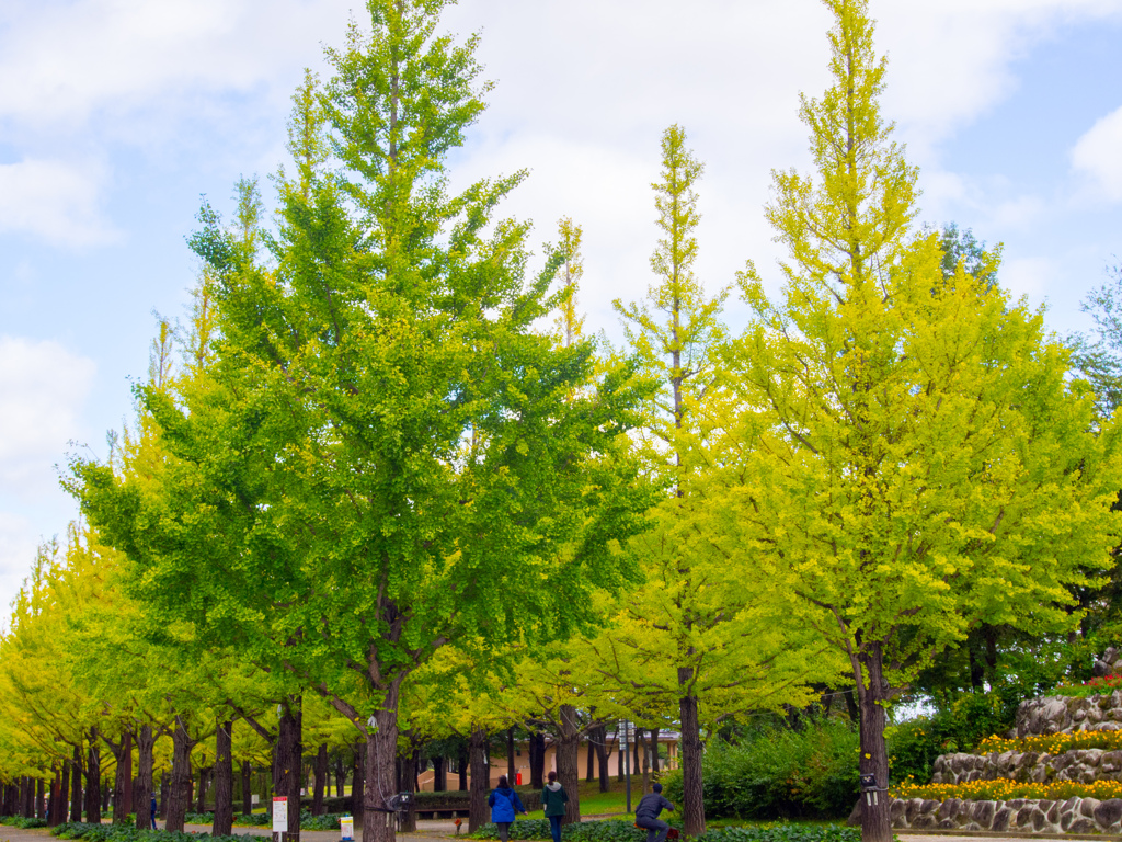 僕はまだだよ！