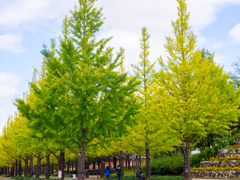 僕はまだだよ！