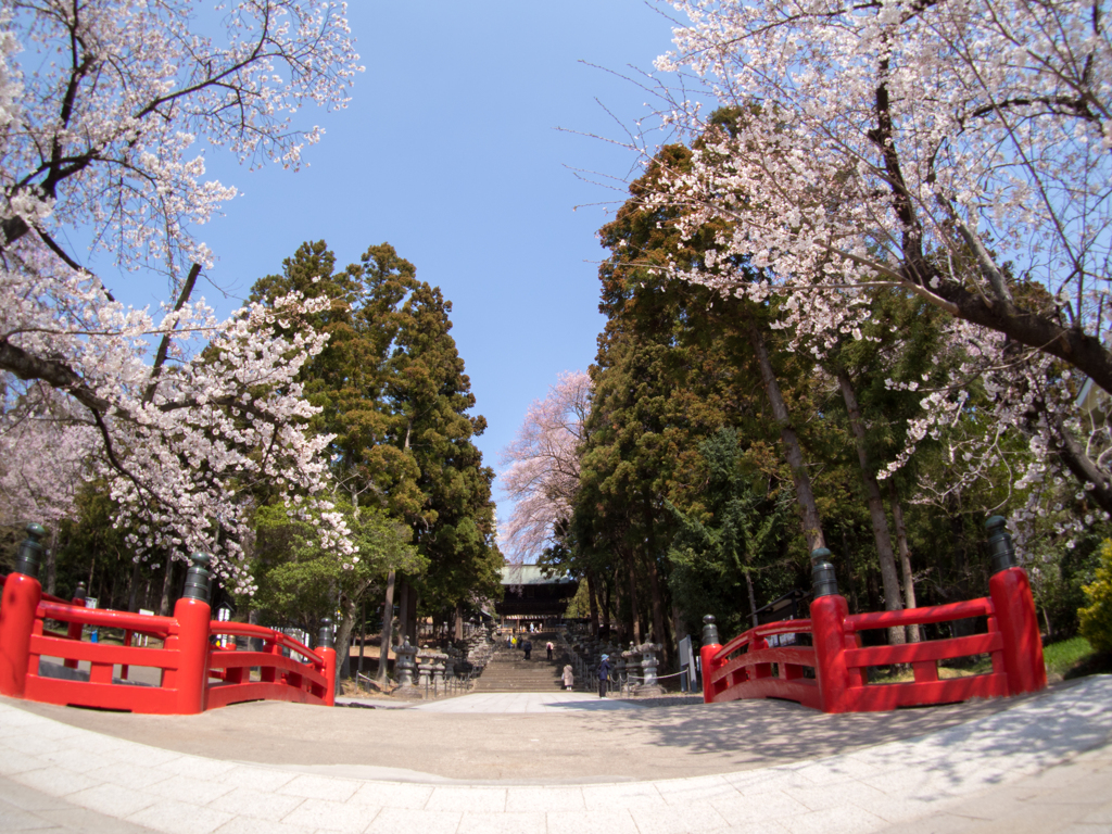 春は華やかに