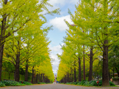 ランナーへの道