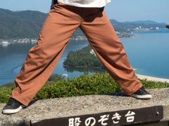 股覗き