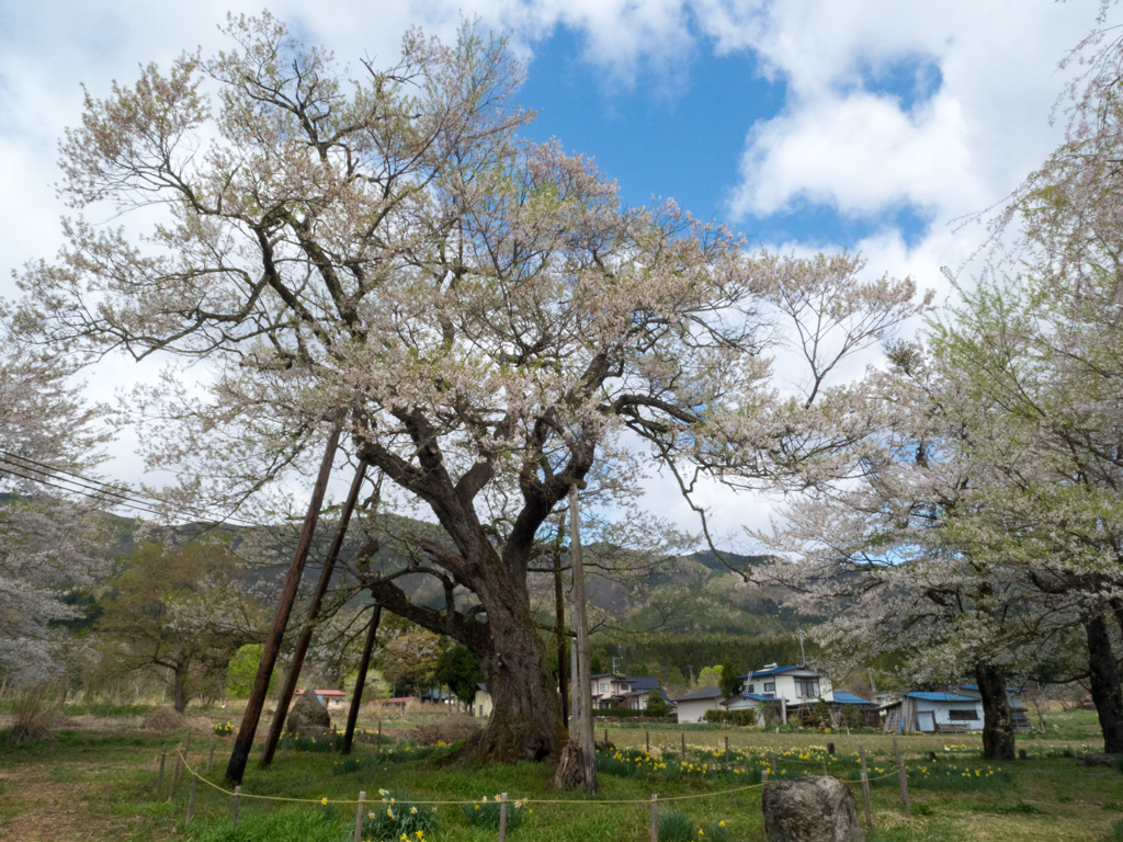 地域に根差して