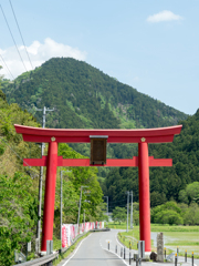 赤い鳥居
