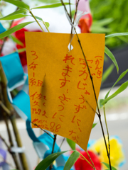 願い