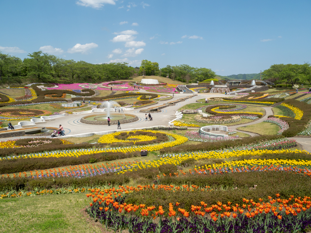花の公園