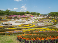 花の公園