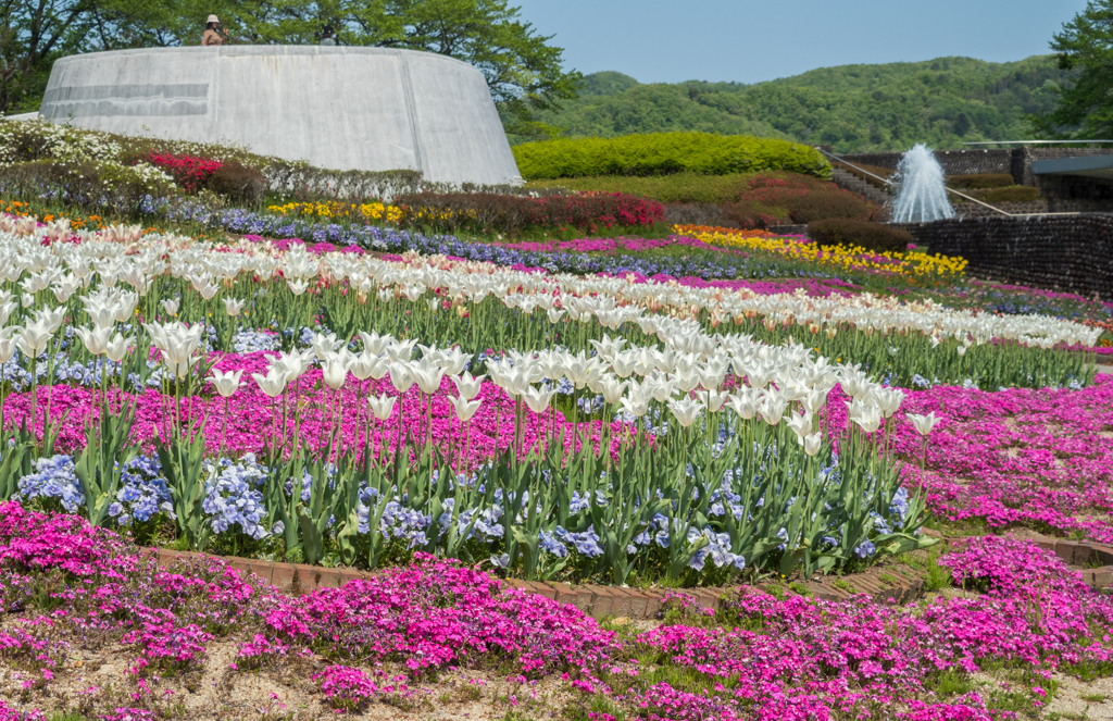 華やぐ花壇