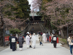 春は華やかに