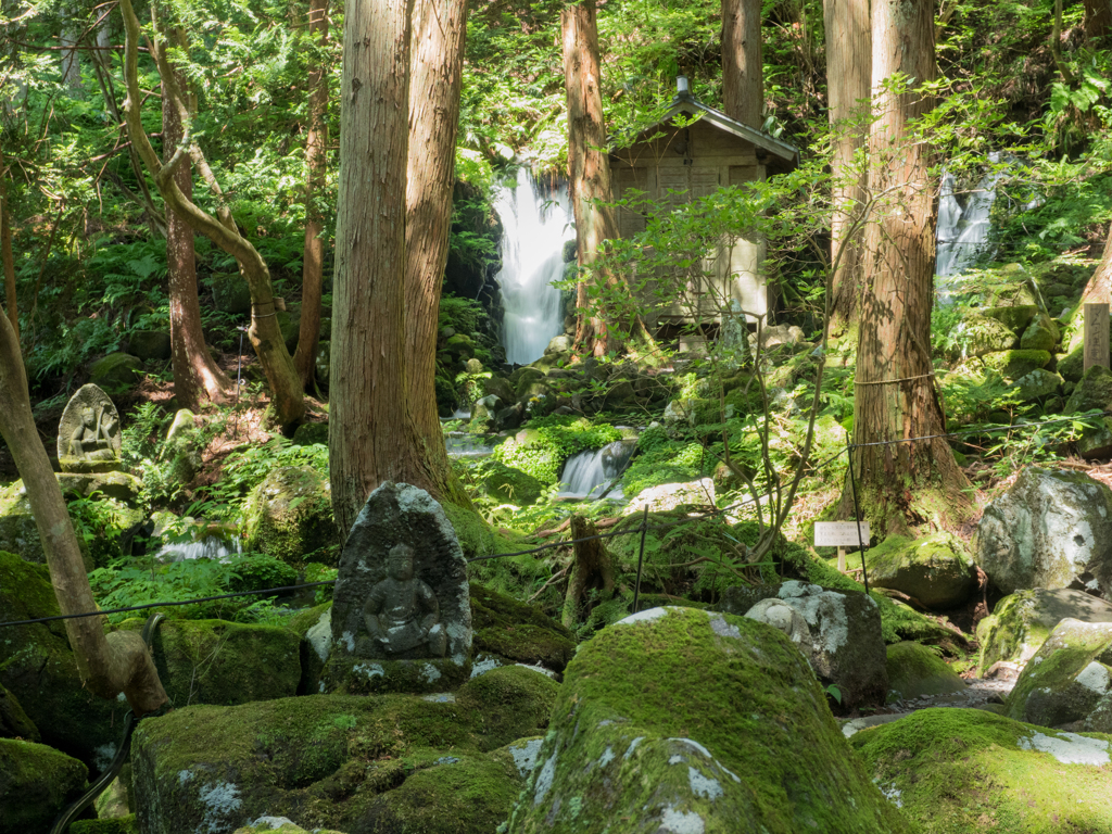 木立の滝