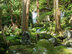 木立の滝
