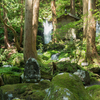木立の滝