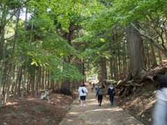 黄金山神社への道