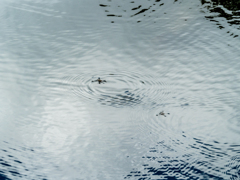 水遁の術