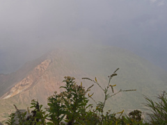 エゾシモツケと櫛ヶ峰