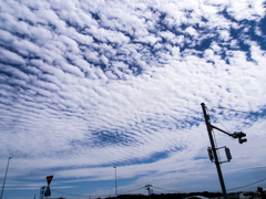 夏の空に浮かぶ