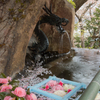 龍と花の手水舎