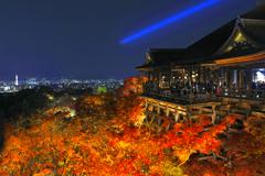 清水寺 秋の夜間拝観