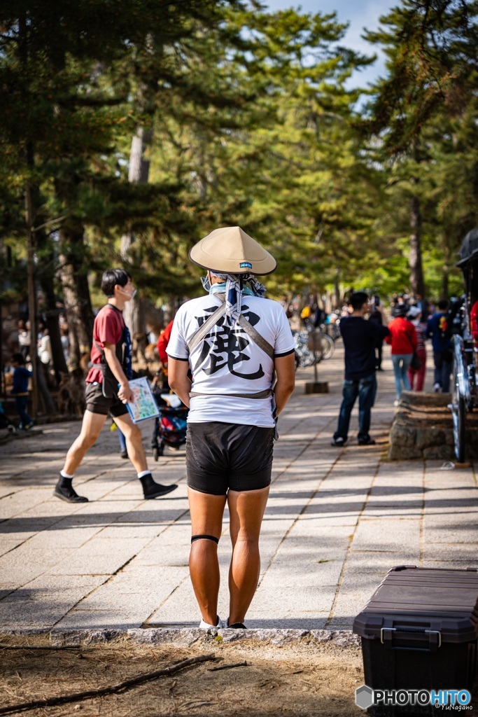奈良スナップ
