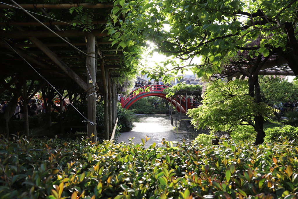 亀戸天神社