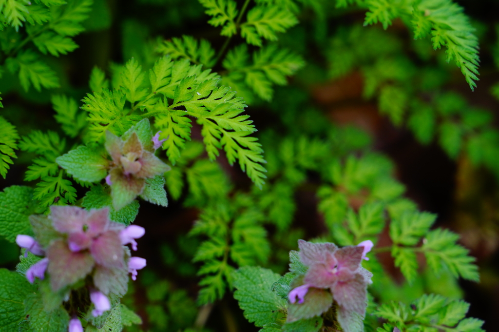 FA1EC60F-5F2E-4A2E-8203-FEC482888EB0